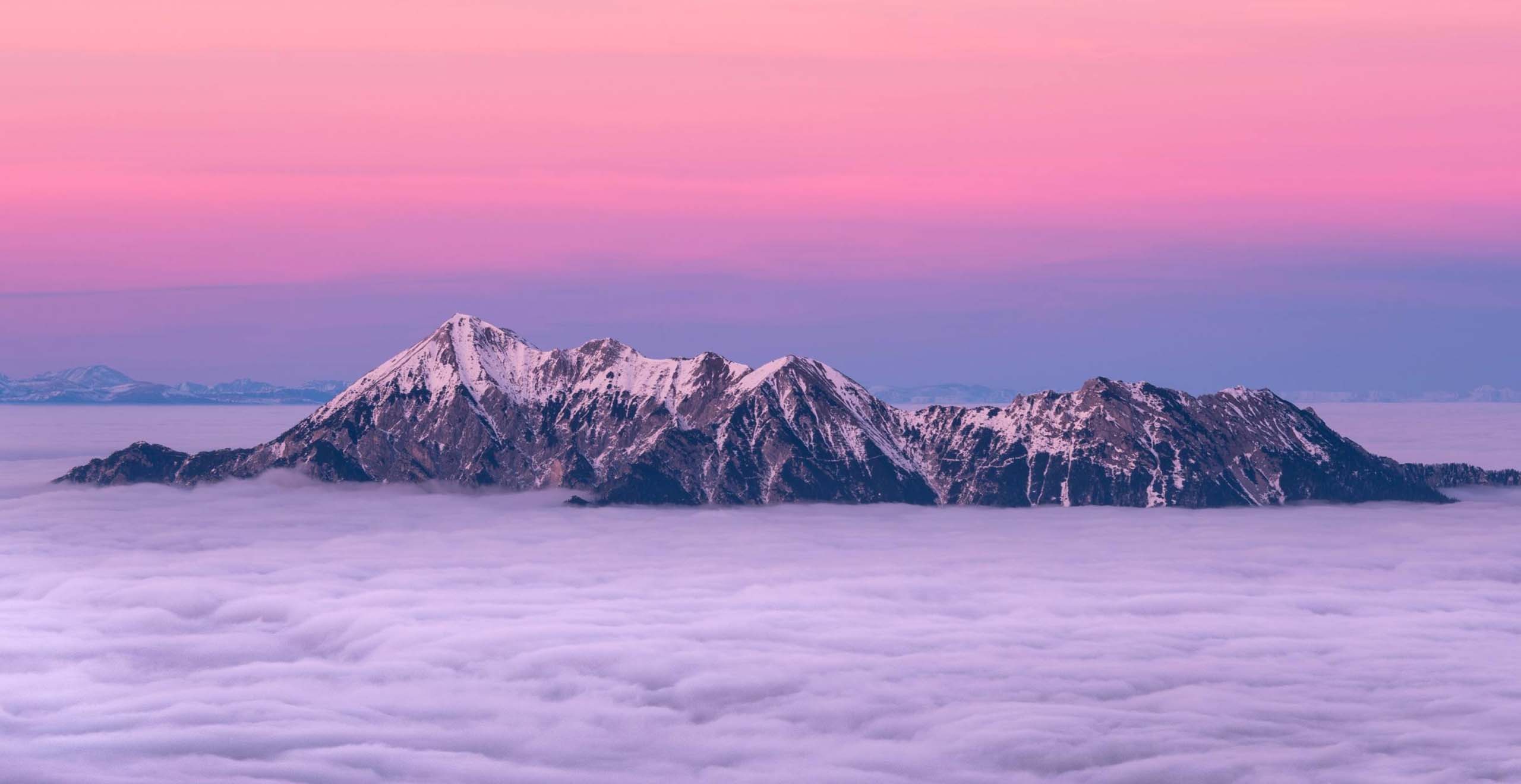 篙茗网-专注分享网络创业项目落地实操课程 – 全网首发_高质量创业项目输出