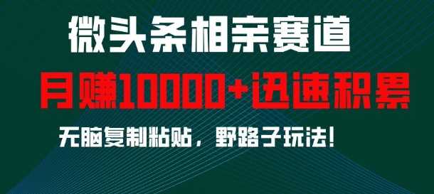 微头条相亲赛道，迅速积累，无脑复制粘贴，野路子玩法，月入1w篙茗网-专注分享网络创业项目落地实操课程 – 全网首发_高质量创业项目输出篙茗网